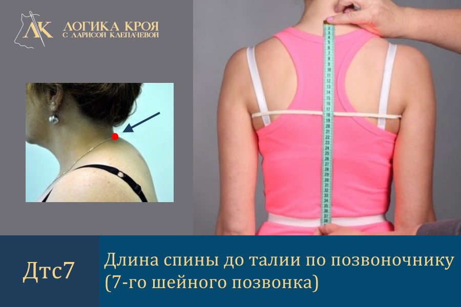 Как снимать мерку Длина спины до талии по позвоночнику