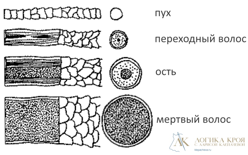 виды волокон шерсти